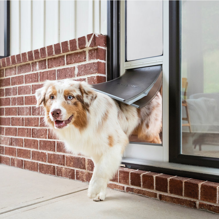 Dog door for sale near clearance me